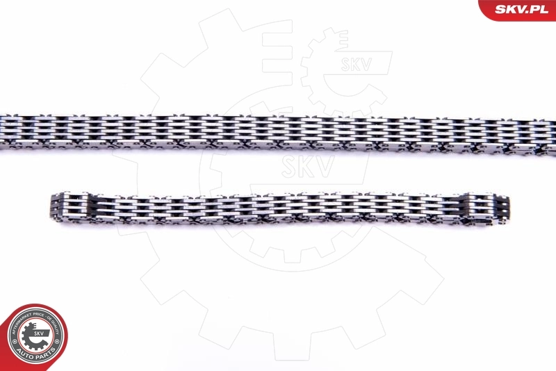 Ремкомплект ГРМ SKV 21SKV248 цена, от 113.13 USD