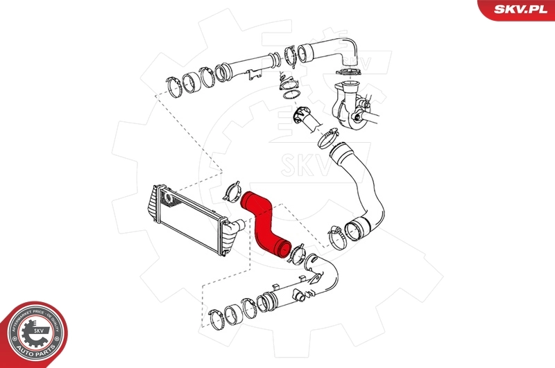 Шланг/патрубок интеркуллера SKV 24SKV064 цена, от 18.09 USD