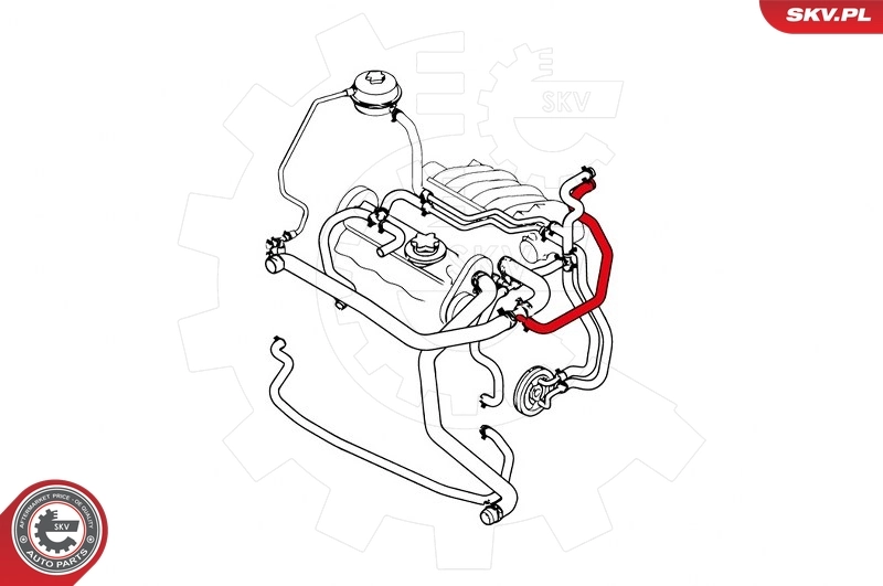 Шланг радиатора охлаждения SKV 43SKV728 цена, от 61.24 USD