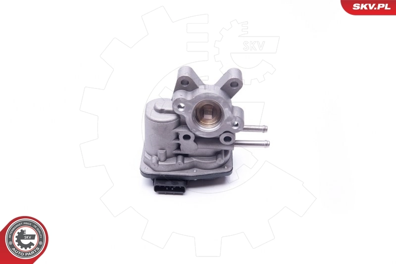 Купить 14SKV103 SKV Клапан EGR системы рециркуляции отработавших газов