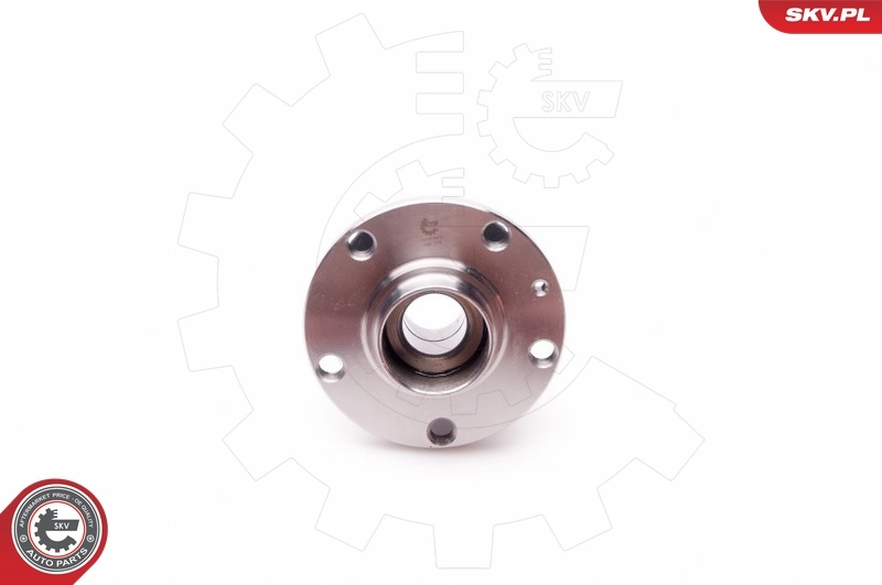 Cubo traseiro Audi A4 8E2