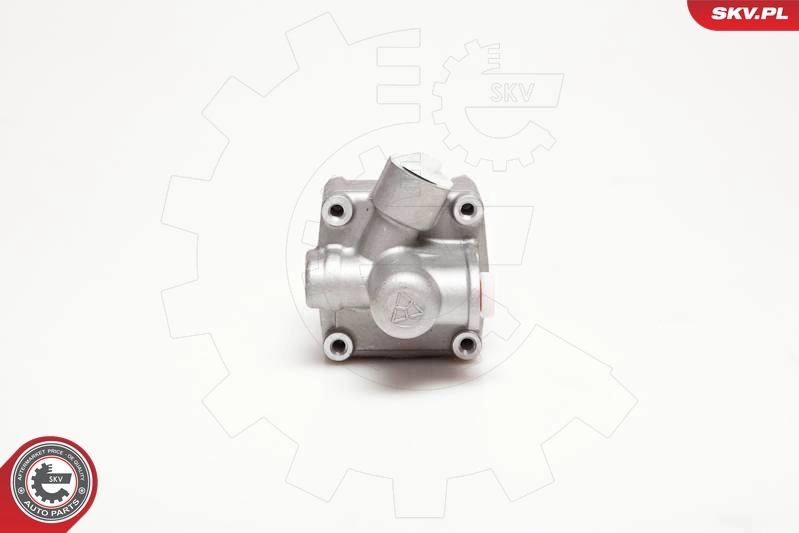 Насос гидравлики SKV 10SKV087 цена, от 42.37 USD
