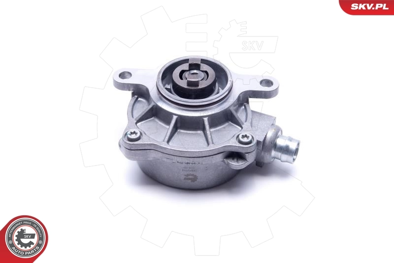 Compre Bomba a vácuo Renault Espace 4