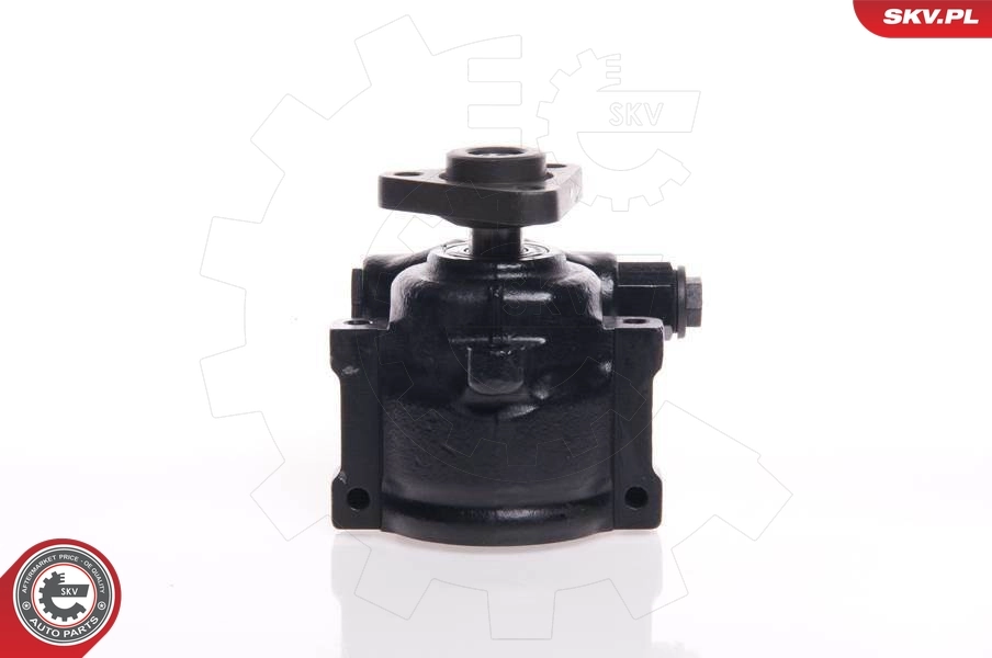 Bomba da Direção hidrâulica assistida Ford Transit 4 E