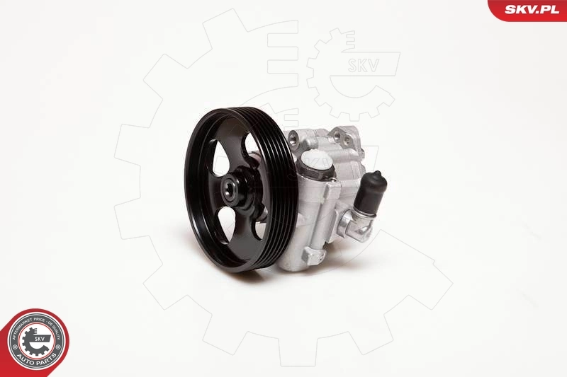 Насос гидроусилителя руля SKV 10SKV100