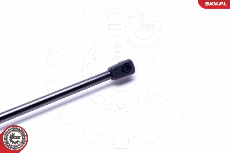 Амортизатор задней двери Renault Kangoo II фургон (FW0) (2008 - 2021) цена, от 9.72 USD