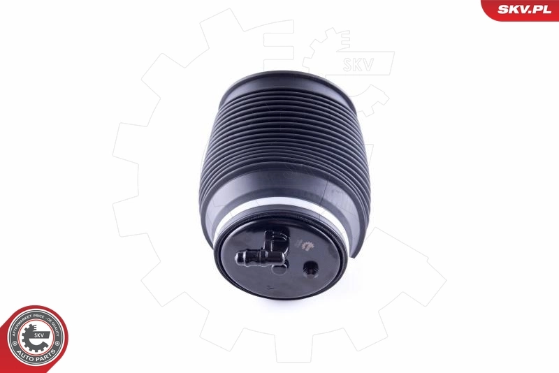 58SKV010 SKV Пневморессора задняя