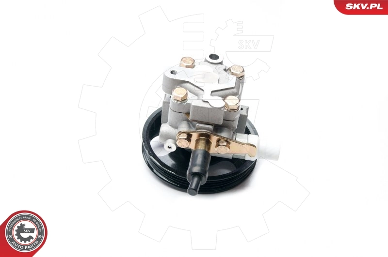 Bomba da Direção hidrâulica assistida SKV 10SKV228