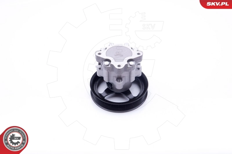 Насос гидроусилителя руля SKV 10SKV266