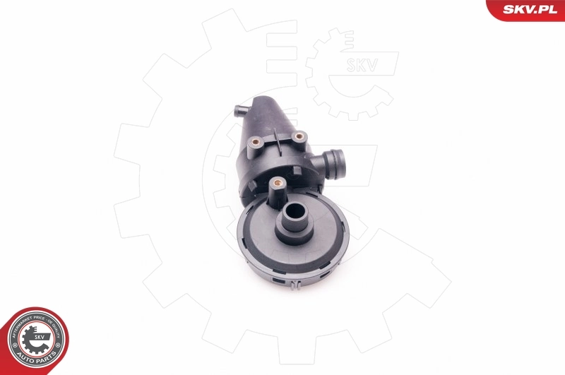Купить 31SKV038 SKV Клапан PCV