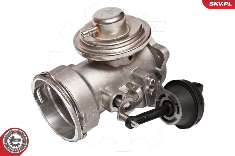Купить 14SKV025 SKV Клапан EGR системы рециркуляции отработавших газов