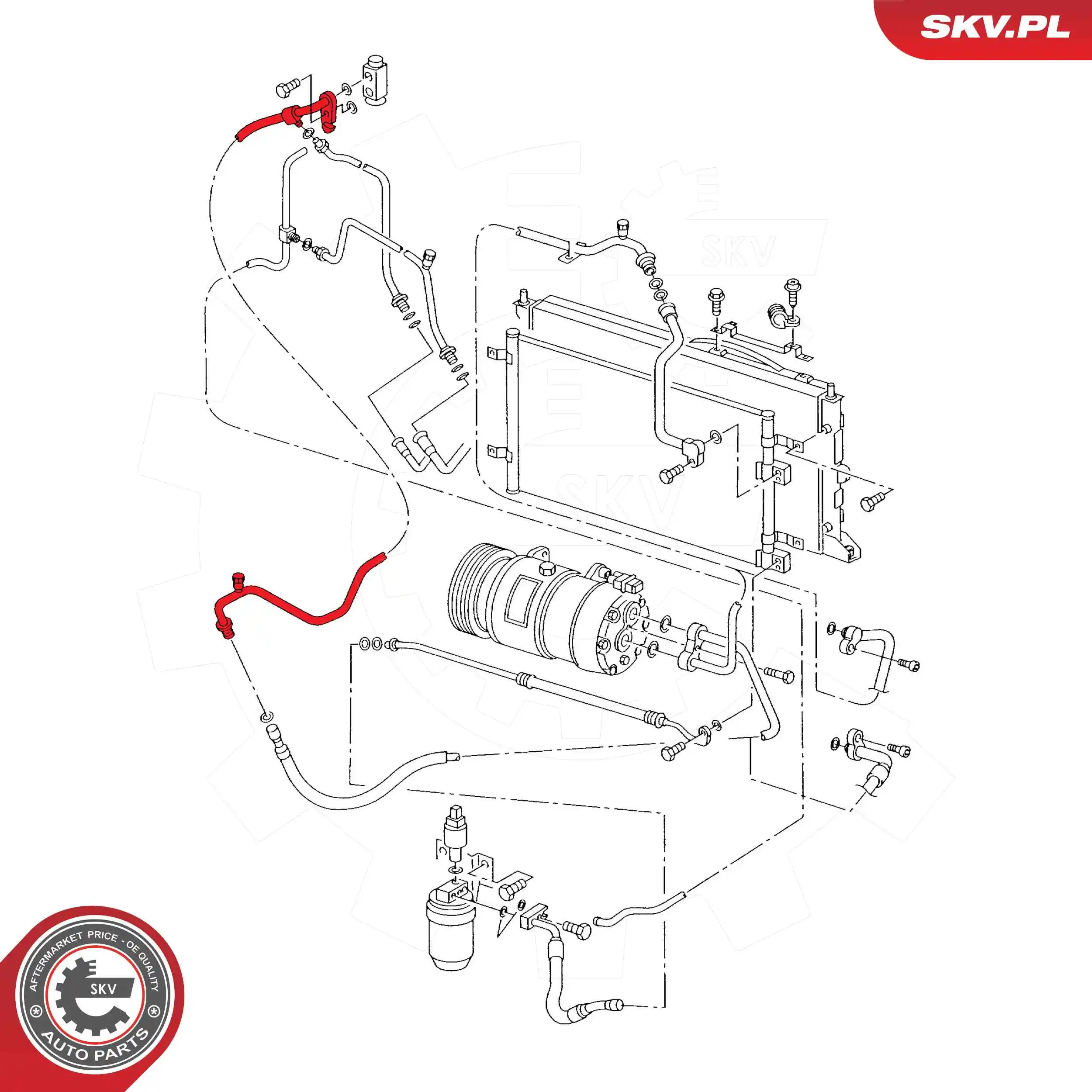  43SKV518 SKV