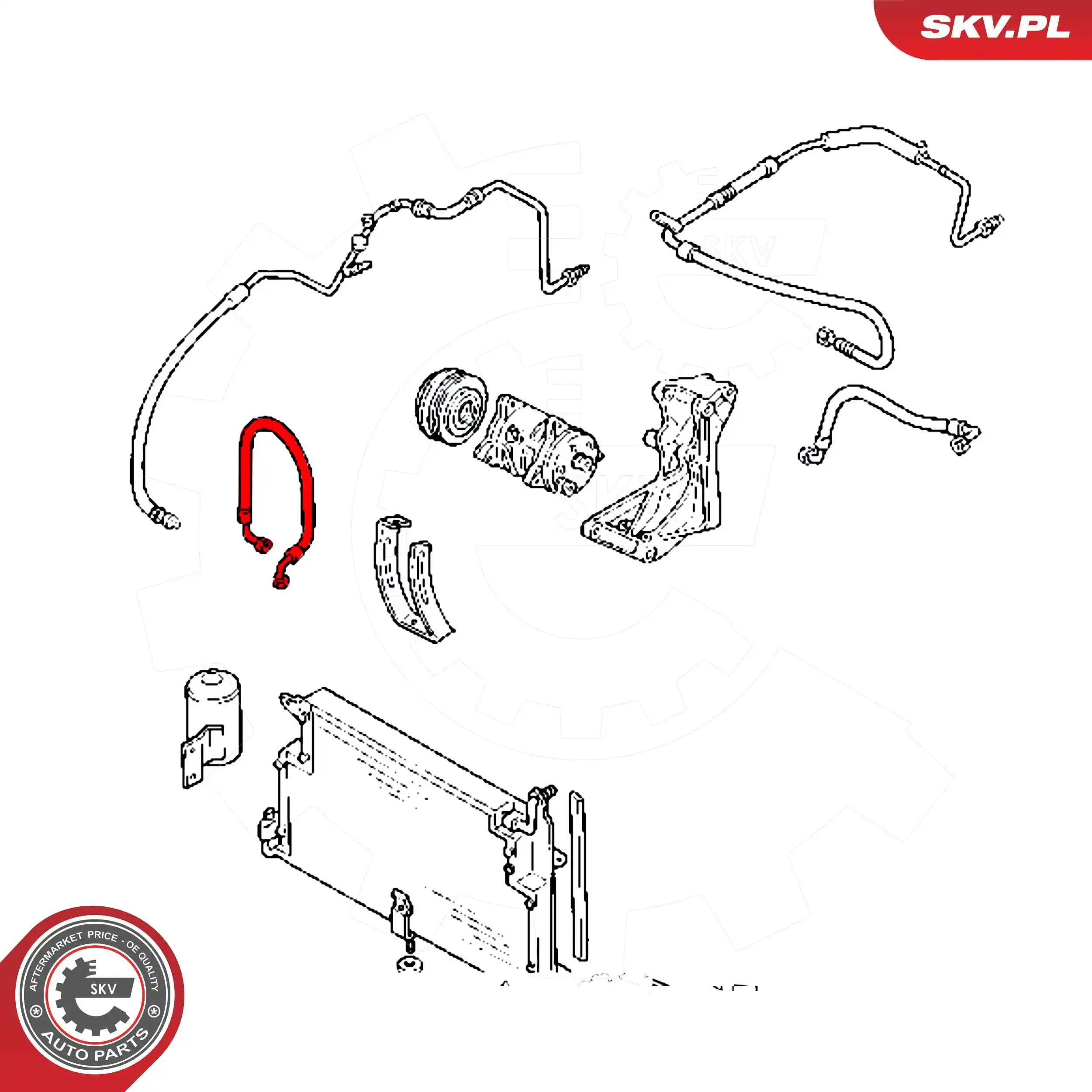 Купить 54SKV725 SKV 