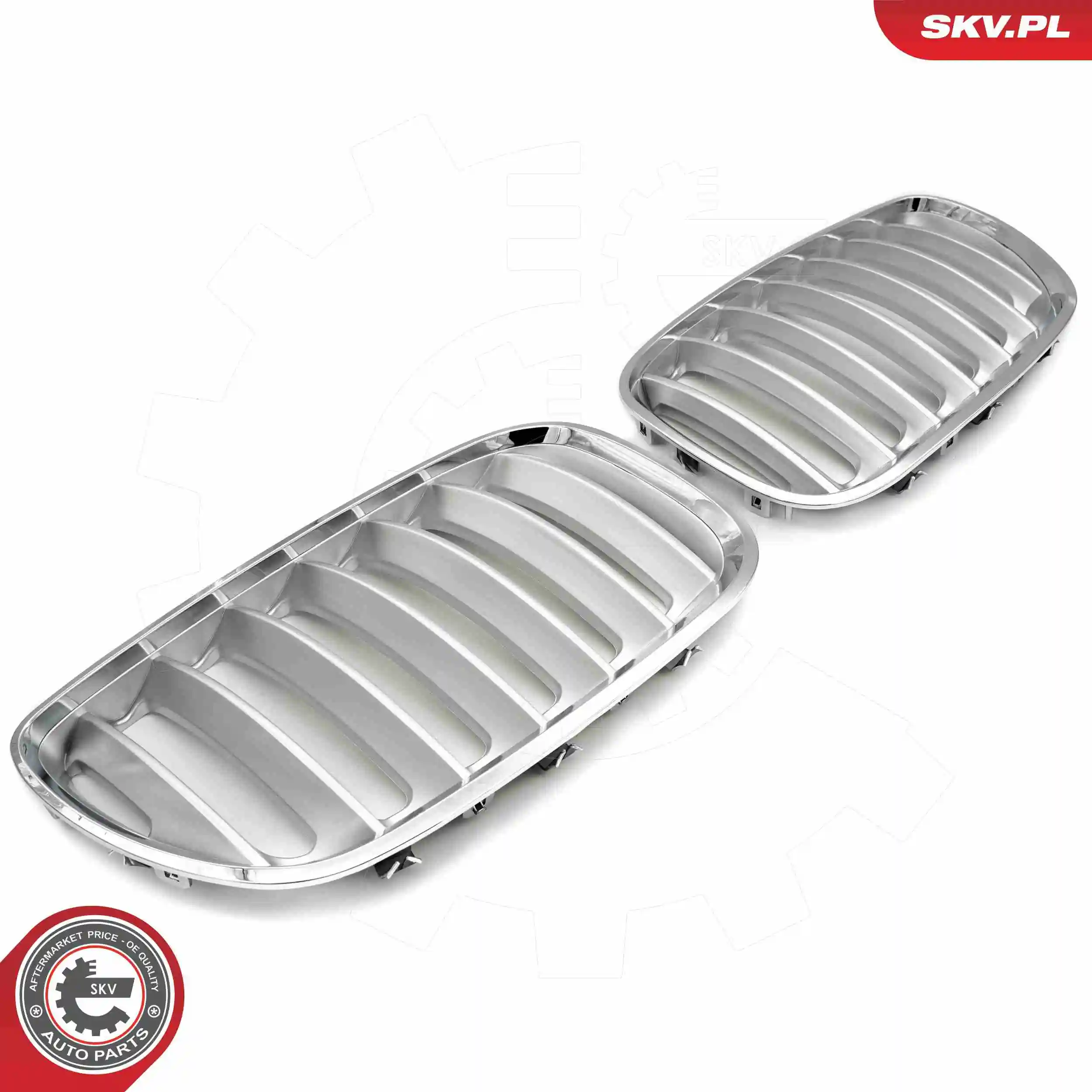 Купить 66SKV279 SKV 