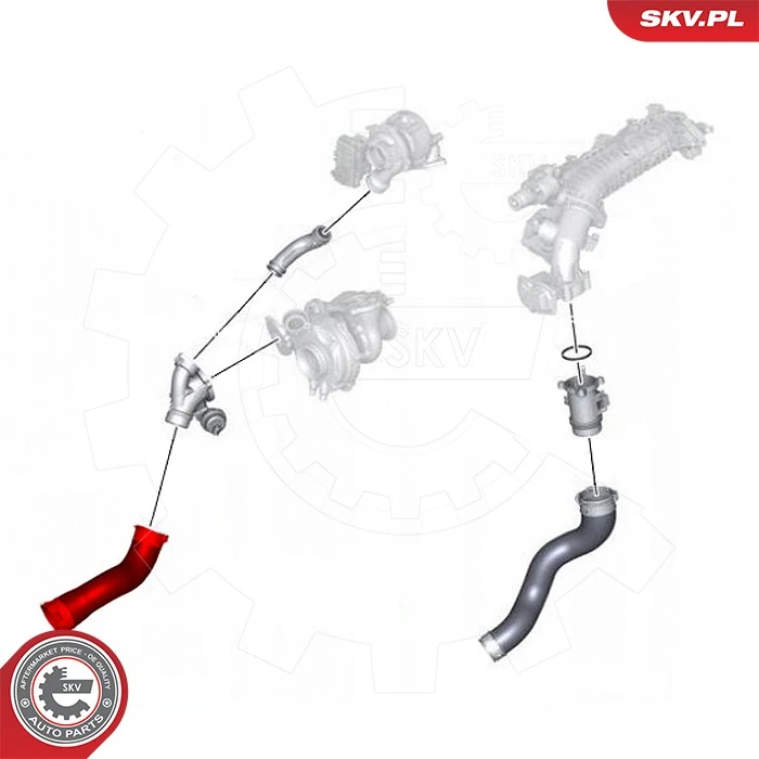 Купить 43SKV429 SKV Патрубок интеркулера