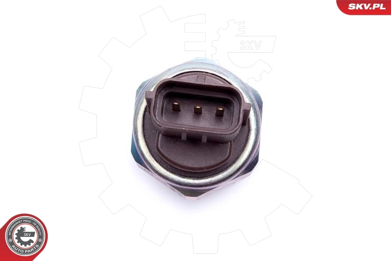 Датчик давления топлива SKV 17SKV738 цена, от 56.71 USD