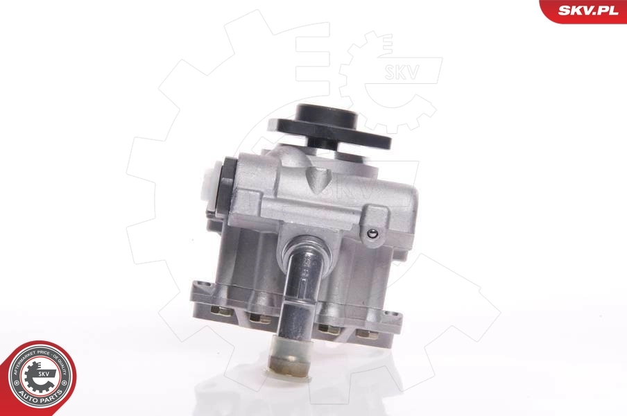 Насос гидравлики SKV 10SKV145 цена, от 72.23 USD