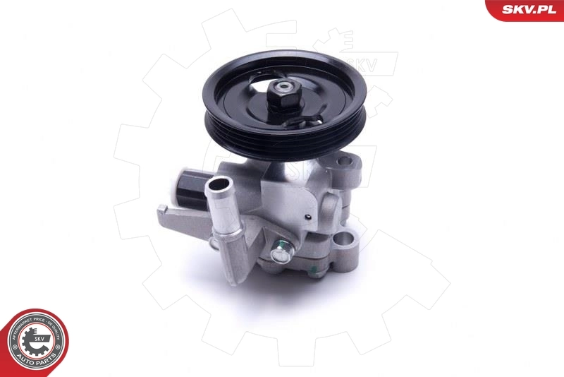 Насос гидравлики SKV 10SKV300 цена, от 101.35 USD