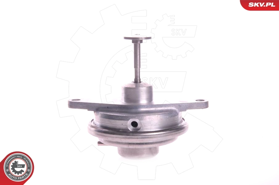 Купить 14SKV022 SKV Клапан EGR системы рециркуляции отработавших газов