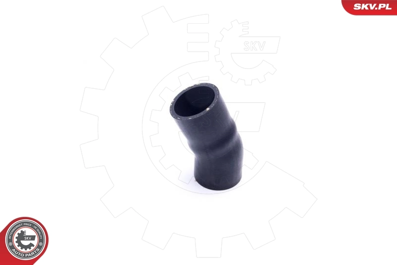  SKV 54SKV203 цена, от 21.75 USD