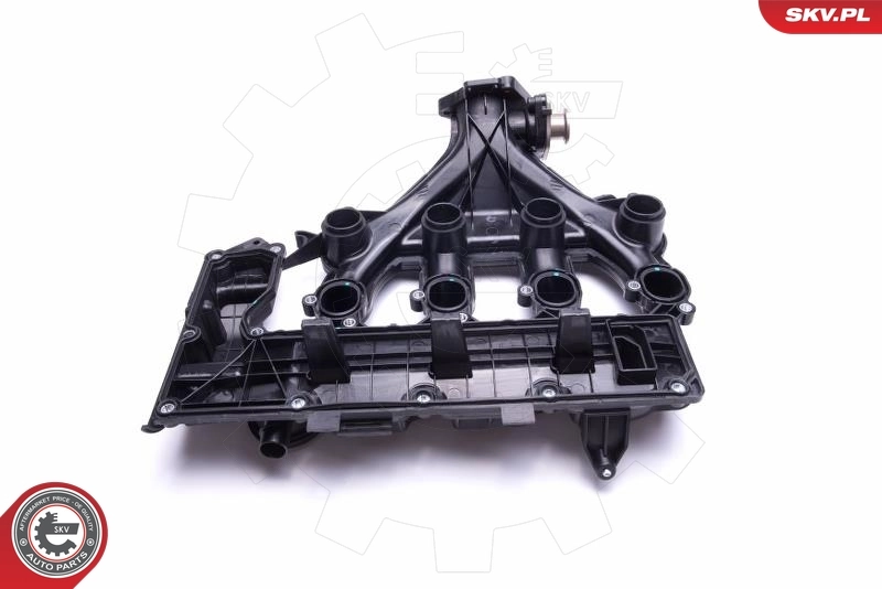 Tampa de válvulas Peugeot 307 3B