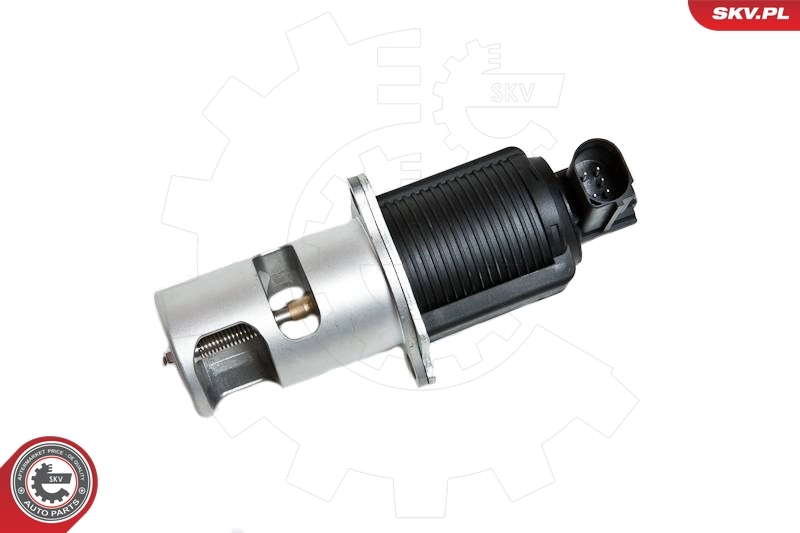 Клапан ЕГР 14SKV032 SKV