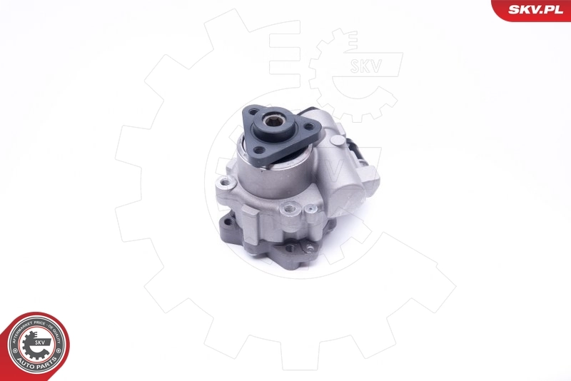 Насос гидравлики SKV 10SKV242 цена, от 84.75 USD