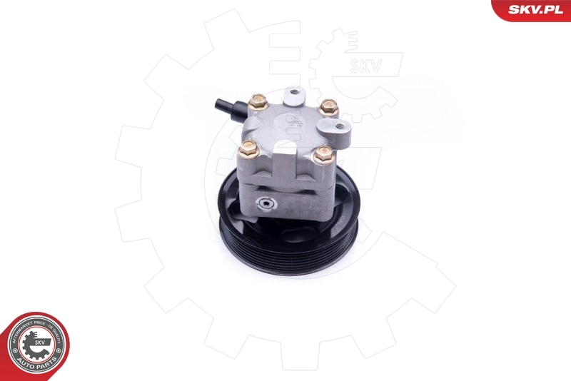 Насос гидравлики SKV 10SKV275 цена, от 83.96 USD