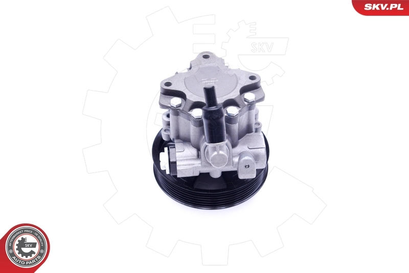 10SKV241 SKV ГУР руля