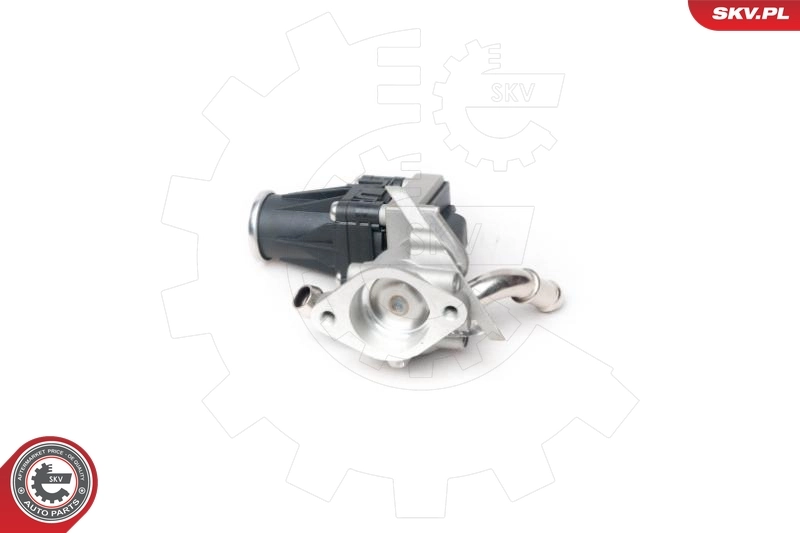 14SKV100 SKV Клапан рециркуляции отработавших газов EGR