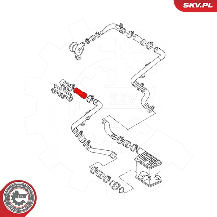 Купить 43SKV463 SKV Патрубок интеркулера