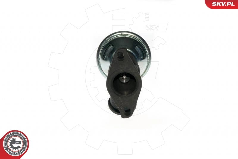 Válvula EGR de recirculação dos gases Peugeot 406 8B