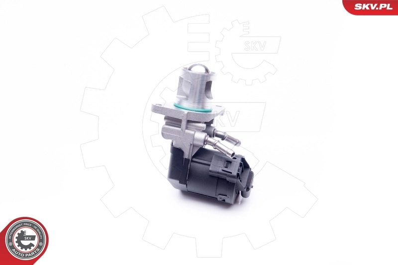 Клапан ЕГР 14SKV169 SKV