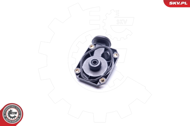 Датчик газов картера SKV 31SKV074 цена, от 41.56 USD
