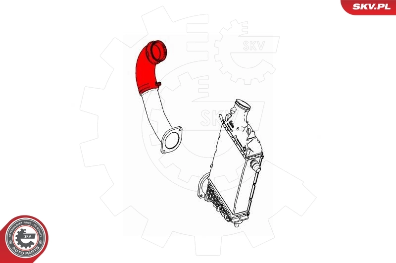 Купить 43SKV239 SKV 