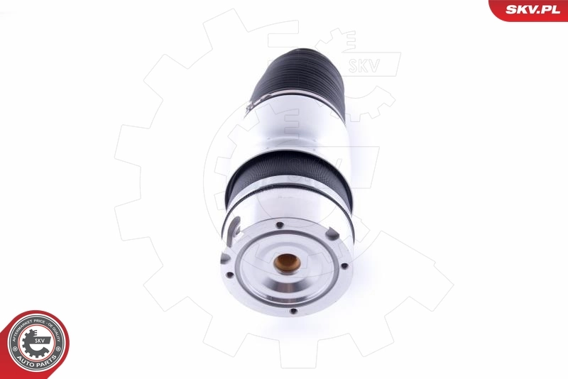 Пневмоподушка/пневморессора моста заднего SKV 58SKV035 цена, от 212.84 USD