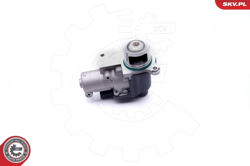 Купить 14SKV170 SKV Клапан EGR системы рециркуляции отработавших газов