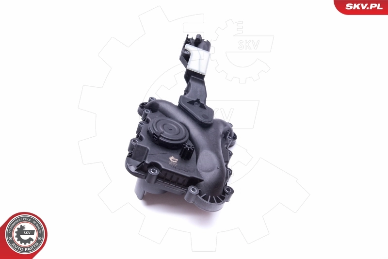 Купить 31SKV078 SKV Клапан PCV