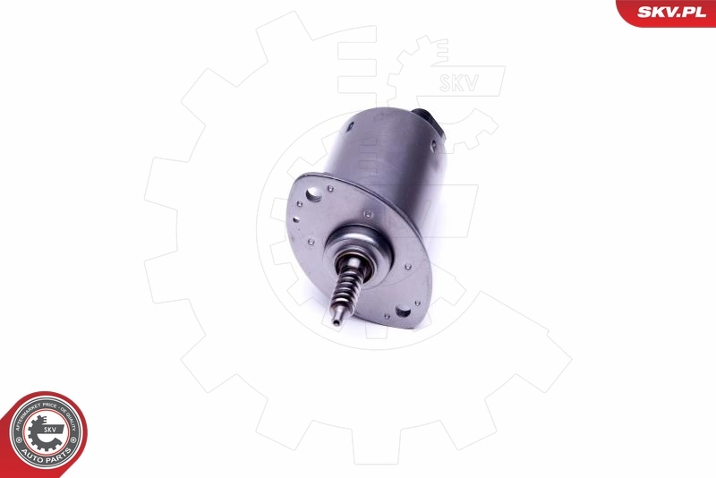 Регулятор фаз газораспределения SKV 96SKV089 цена, от 114.66 USD
