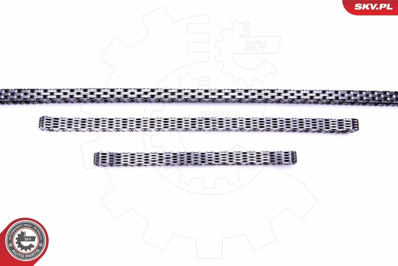 Ремкомплект ГРМ SKV 21SKV163 цена, от 31.78 USD