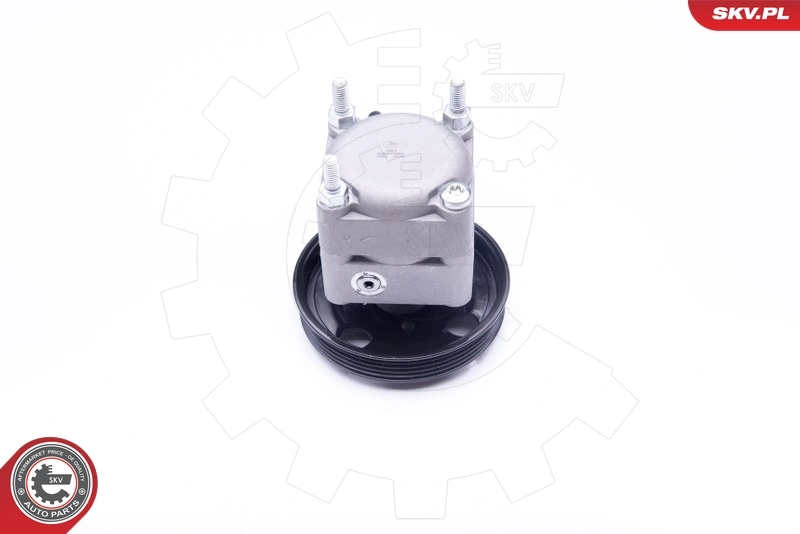 Насос гидравлики SKV 10SKV257 цена, от 135.59 USD