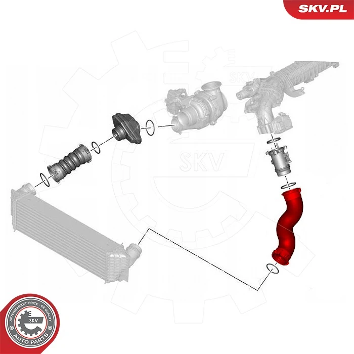 Купить 43SKV426 SKV Патрубок интеркулера