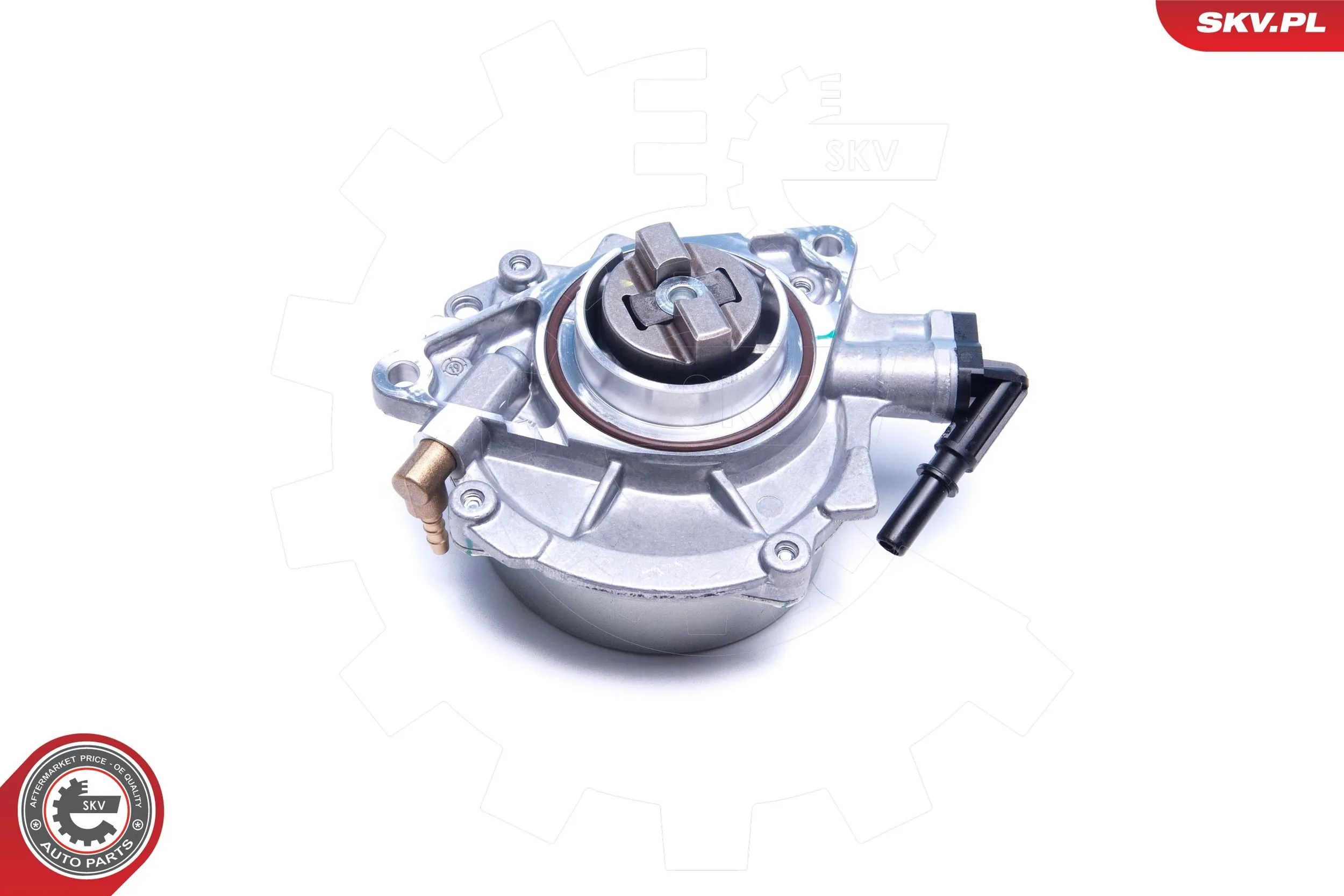 18SKV055 SKV Механический вакуумный насос