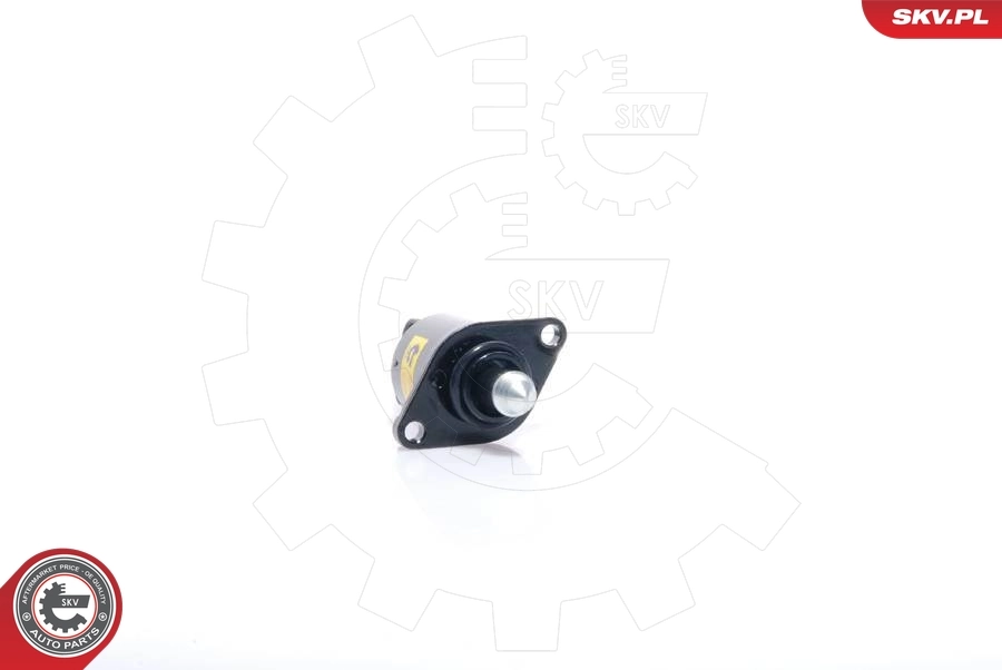 Válvula (regulador) de marcha a vácuo Renault Kangoo 1 KC0, KC1