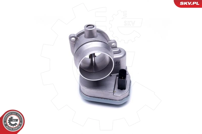 Válvula de borboleta montada BMW X5 E53