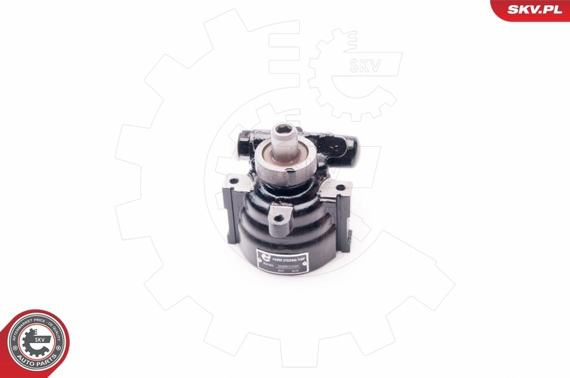 Насос гидравлики SKV 10SKV229 цена, от 92.40 USD