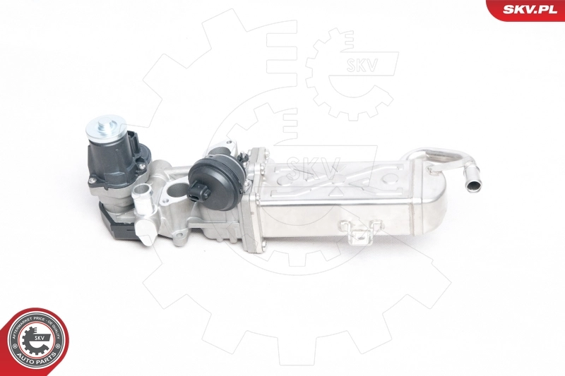 14SKV094 SKV Радиатор системы EGR