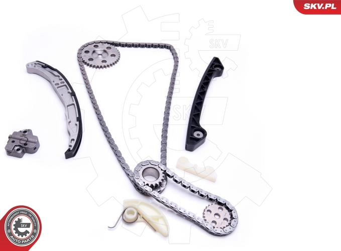 21SKV242 SKV Цепь ГРМ, комплект, верхняя