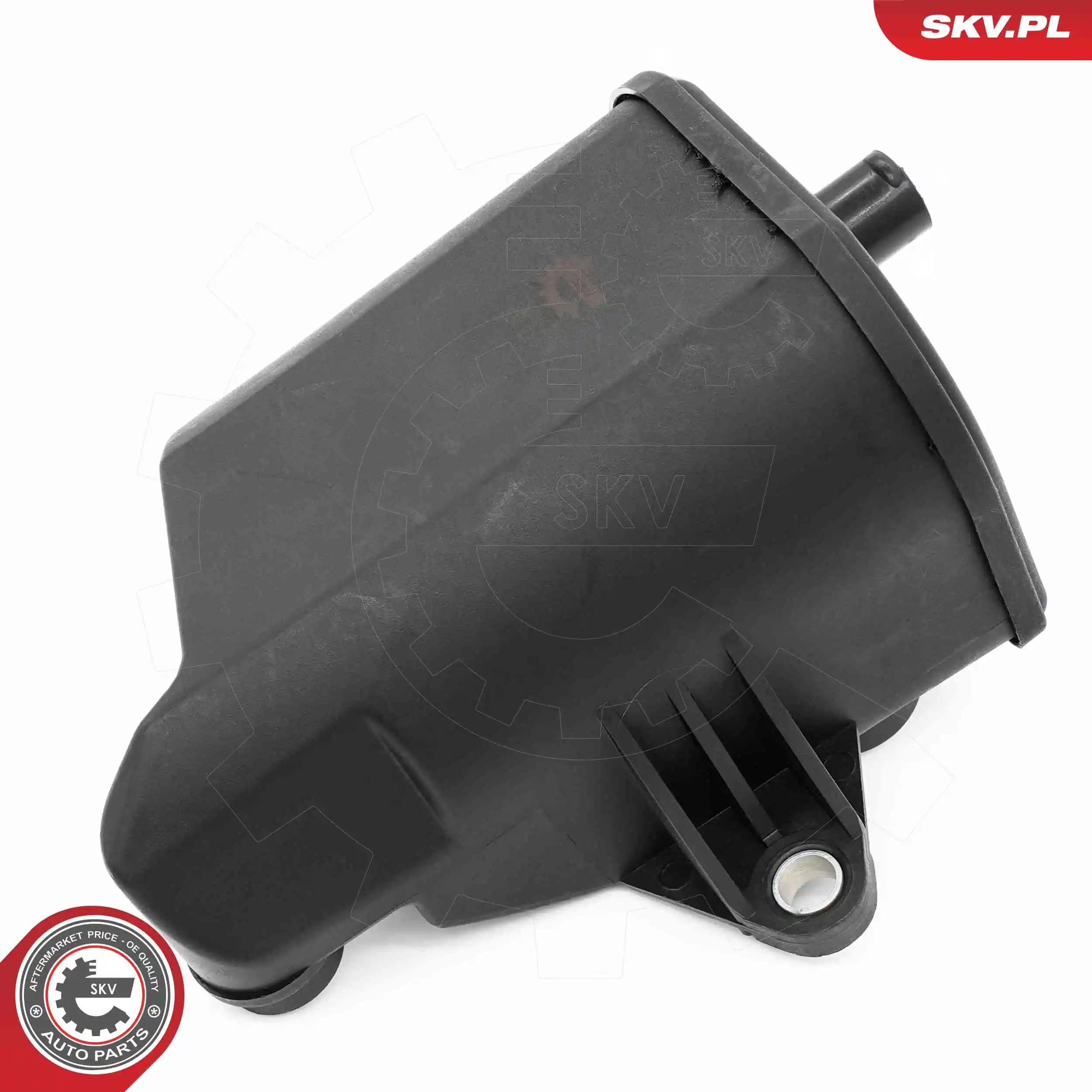  31SKV429 SKV
