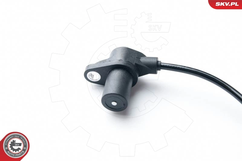 17SKV295 SKV ДПКВ